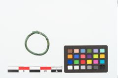 Foto von Bronzering (NHMW-PRAE-025138)